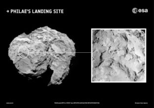 Rosetta Fig8