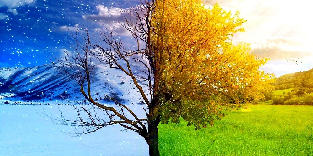 stagioni meteorologiche