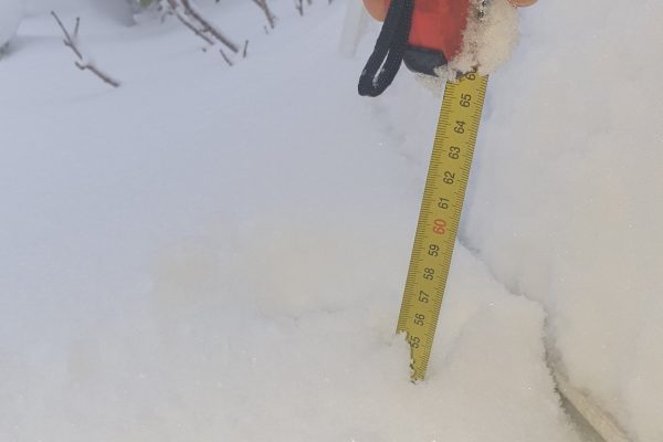 Neve a Madrid 9Gen2021