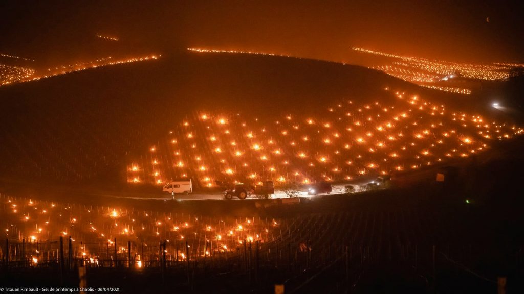 Record di freddo: fuochi per proteggere i vigneti dal gelo