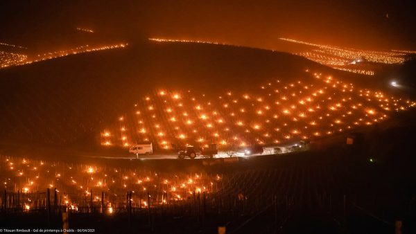 Record di freddo: fuochi per proteggere i vigneti dal gelo