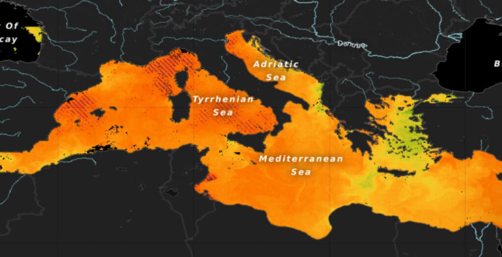 caldo mediterraneo