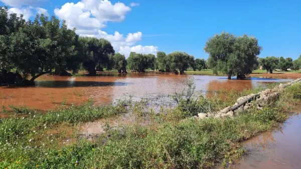 Maltempo tra sud-est barese e Valle d’Itria: 100mm in poche ore. Allagamenti e disagi
